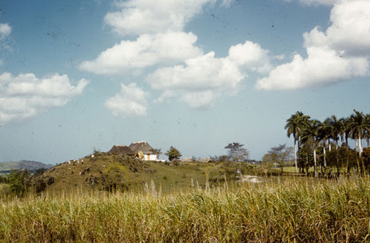 Dat nuoc Cuba nhung nam 1950 qua anh-Hinh-6